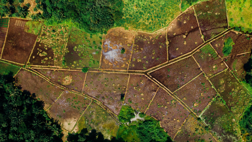 Regularização fundiária no Brasil: por que a integração entre Cartórios e órgãos públicos é&nbsp;essencial